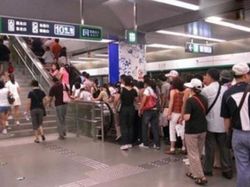 Potret Viral Tingkah Kocak Para Pemalas