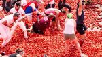 160 Ton Tomat Meriahkan Festival Tomatina 2018 di Spanyol
