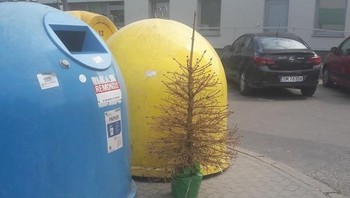 Saking malasnya buang ke tempat sampah, padahal tinggal masukin ke dalam. (Foto: Brightside)