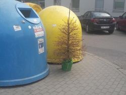 Potret Viral Tingkah Kocak Para Pemalas