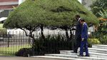 Sambutan Meriah untuk Presiden Namibia di Istana Bogor