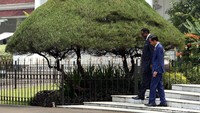 Jokowi dan Gottfried berjalan di halaman Istana Bogor yang asri. Dalam pertemuan tersebut, Jokowi dan Gottfried juga melakukan penanaman pohon bersama di halaman Istana Bogor.