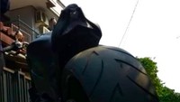 Perubahan yang dilakukan itu juga ikut mengubah shock absorber depan plus cover custom dan shock absorber belakang pake YSS yang non tube, sehingga membuat motor ini terlihat begitu macho. Tampilan macho dari Munaroh ini juga didukung dengan suara galak berkat knalpot kustom. Hasilnya wajar jika motor ini mampu mensihir siapa saja yang melihatnya. Foto: detik