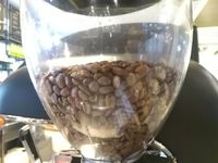 Pencinta Kopi, Festival Kopi Internasional akan Digelar di Makassar