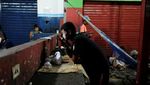 Potret Krisis Ekonomi Venezuela yang Bikin Miris