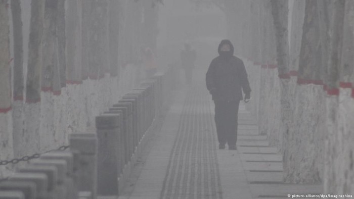 Studi Terbaru: Polusi Udara Turunkan Kemampuan Belajar Siswa