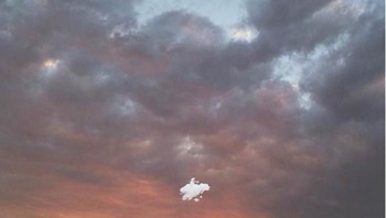 Pengeditan sendiri menggunakna sejumlah aplikasi olah foto yang ada di ponsel. Foto: instagram.com/charlie_davoli/