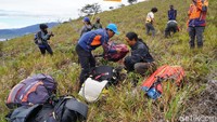 Untuk masalah angin, dari Bukit Kobrey dan Maut bisa mendarat ke Kota Anggi dan perkampungan di pinggir Danau Anggi Giji. Kalau lepas landas di Bukit Tombrok akan turun ke perkampungan di pinggir Danau Anggi Gida (Masaul/detikTravel)