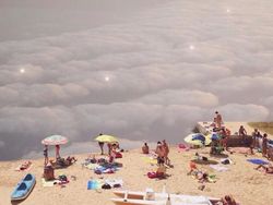 Tak Sangka Deretan Foto Ini Dibuat Pakai Ponsel