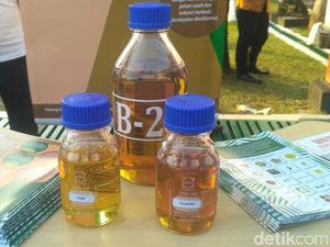 Pengamat Katakan Pemerintahan Jokowi Telat Kembangkan B20