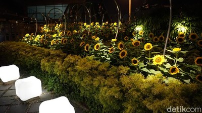 Foto: Bandara yang Punya Taman Bunga Matahari