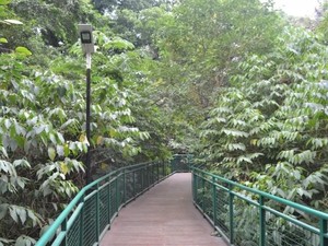 Sejarah Hutan Kota Babakan Siliwangi Bandung, Lokasi dan Faktanya