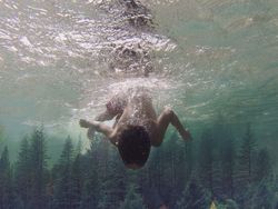 Tak Sangka Deretan Foto Ini Dibuat Pakai Ponsel