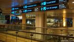 Foto: Bandara yang Punya Taman Bunga Matahari