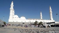 Bagian belakang Masjid Quba. Banyak burung merpati menghiasi Masjid ini, biasanya banyak para peziarah memberi makan burung-burung.