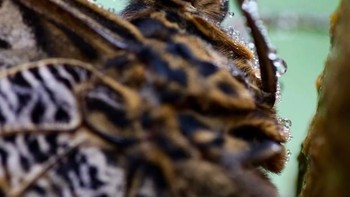 Karya Jackieday. Foto: Viewbug