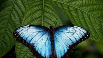 Karya MKaePhotography. Foto: Viewbug