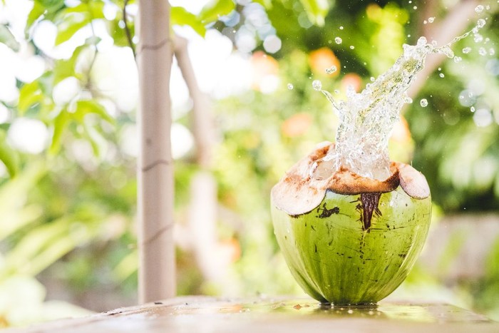 Foto: shutterstock Foto: shutterstock