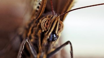 Karya AzuraPhotography. Foto: Viewbug.