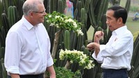 Morrison dan Jokowi terlihat berbincang akrab. (dok. Biro Setpres)