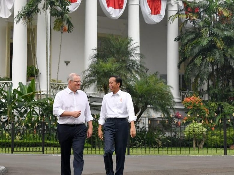 PM Australia Scott Morrison Akan Hadiri Pelantikan Jokowi PM Australia Scott Morrison Akan Hadiri Pelantikan Jokowi