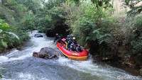 Lebih dari 10 perahu karet yang dinaiki oleh 5-7 orang setiap perahunya. Mereka berlomba-lomba memacu perahunya mengarungi jeram Sungai Palayangan. (Wisma/detikTravel)