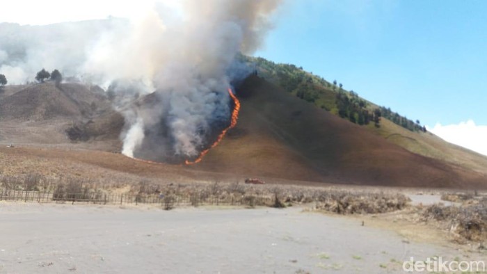 Stop! Wisatawan Dilarang Masuk Padang Savana dan Bukit Teletubbies