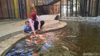 Di dalam gedung itu pengunjung bisa puas bermain dengan berbagai jenis burung dan ikan koi. (Angling/detikTravel)