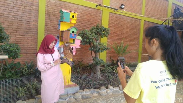 Traveler bisa bermain dan foto bareng hewan (Angling/detikTravel)