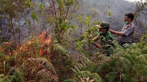 Kala Water Cannon Polisi Ikut Padamkan Kebakaran Hutan di Sumut