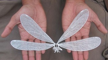 Foto: Istimewa/Parth Kothekar