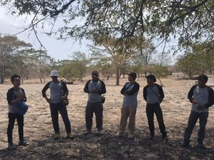 Lewat Baluran, Kemenpar Ikut Dorong Persiapan IMF-World Bank 2018
