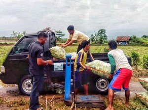 Cara Kementan Hidupkan Lahan-lahan Kering Agar Produktif