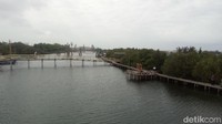 Foto: Eko Susanto/detikTrKawasan hutan mangrove cukup luas, dikelilingi dengan sungai yang cantik (Eko/detikTravel)