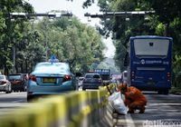Ilustrasi ERP di Jakarta