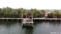 Tidak heran, jika banyak turis yang ke sini untuk berfoto bahkan menikmati indahnya hutan mangrove (Eko/detikTravel)