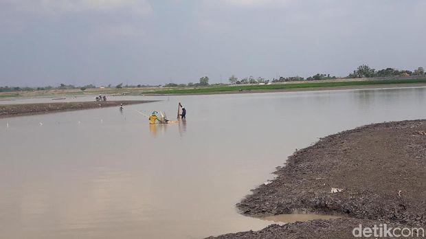 Berkah Penjual Ikan Musiman Saat Wisata Waduk Notopuro Mengering