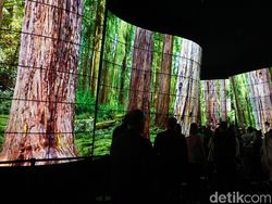 Dibuat Takjub Lorong TV Raksasa LG