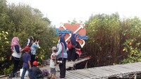Spot selfie tersebut antara lain jembatan gantung, jembatan tol atas dan tol bawah, di perahu, kemudian gitar besar dan ada jangkar cinta (Eko/detikTravel)