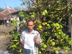 Ini Alasan Tersangka Penangkap Kepiting di Bantul Tidak Ditahan