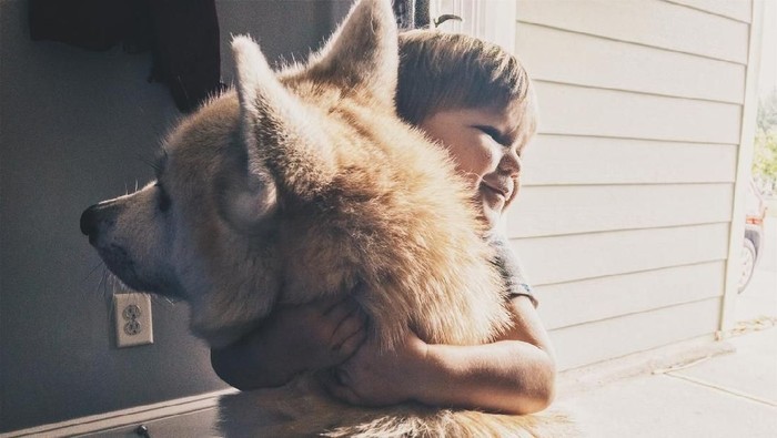 Two years old toddler giving a hug to his dog