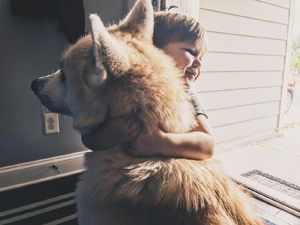 Takut Naik Pesawat, Peluk Anjing Dulu...