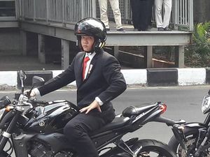 Heboh Jokowi Naik Moge Paspampres dan Stuntman Thailand