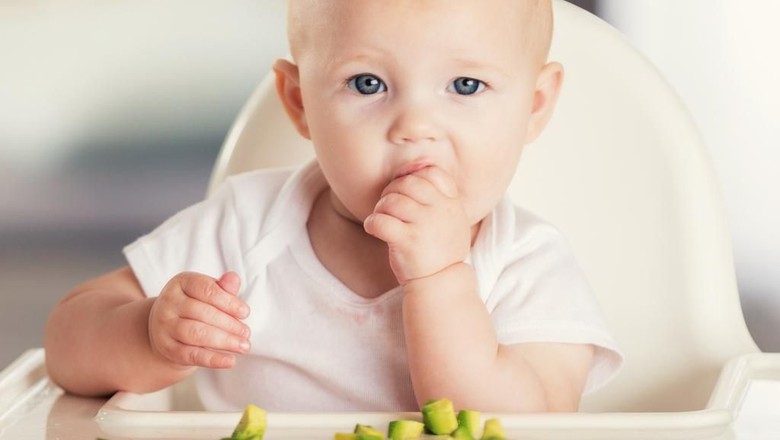Ilustrasi anak makan finger food/ Foto: iStock Ilustrasi anak makan finger food/ Foto: iStock