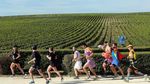 Foto: Cuma di Prancis, Lomba Lari Sambil Minum Wine