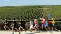 Para peserta juga akan melintasi rute lari di antara kebun-kebun anggur yang cantik. Mereka akan melintasi kota-kota kecil nan cantik seperti Pauillac, St Julien-Beychevelle, St Estephe hingga kembali lagi ke Medoc. (AFP/Getty Images)