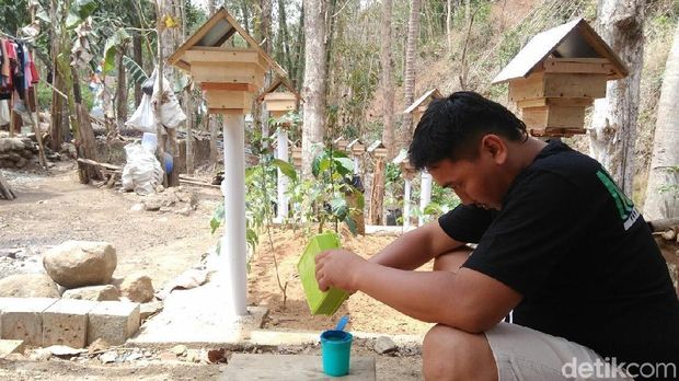 Melihat Budidaya Tawon Klanceng di Purworejo