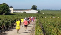 Jangan heran kalau lomba maraton sejauh 42 km ini menyajikan wine untuk para pesertanya. Medoc memang terkenal sebagai kota penghasil wine di Prancis. (AFP/Getty Images)