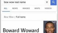 Ternyata nama lengkap Bow Wow adalah Shad Gregory Moss, dari mana Bow Wow-nya ya? Dok. Ist