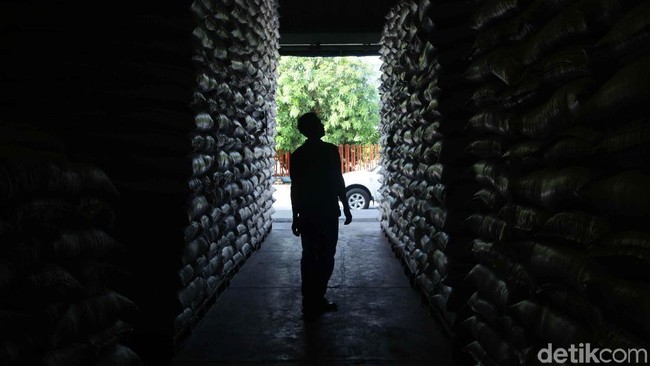 Bulog Sewa Gudang Rp 45 Miliar, Buwas: Nggak Perlu Impor Beras